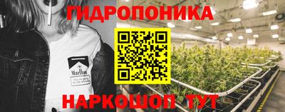 apvp Заволжье