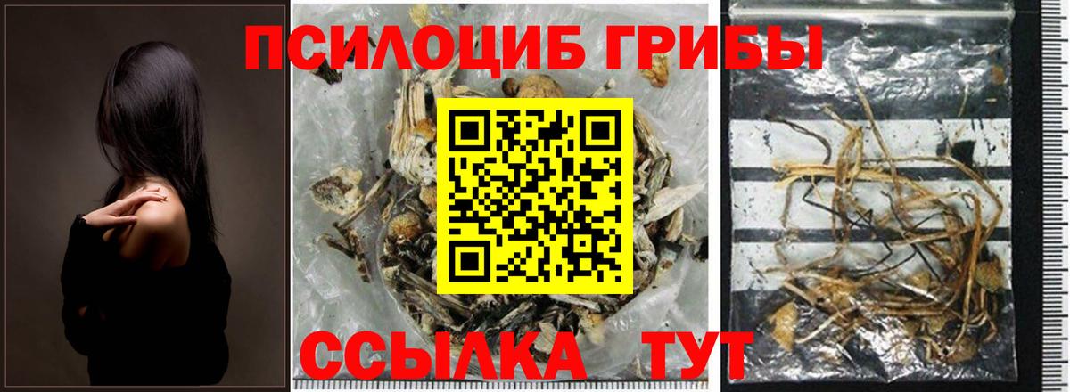 Галлюциногенные грибы Psilocybine cubensis  Вход с VPN  Кыштым 